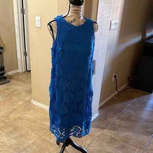 Elegant Blue Lace Dress